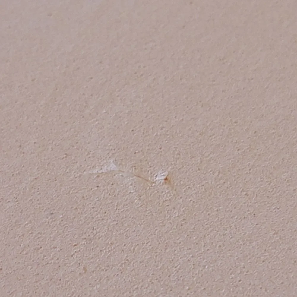 Foam stick on board tiles FREE w/purchase